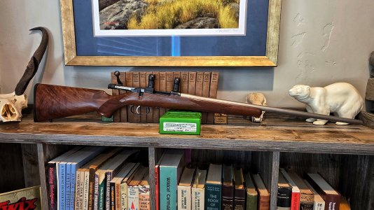 1000015296.jpg 1000015296.jpg