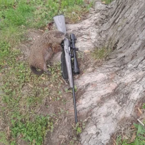 494813948_1392459445424993_9182778913540617857_n (2) (1).webp