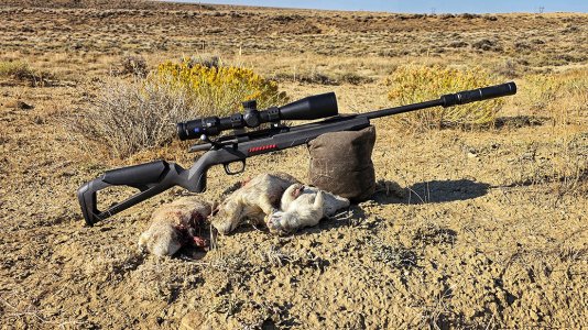 Winchester-XPert-17WSM-Rifle--1.jpg Winchester-XPert-17WSM-Rifle--1.jpg