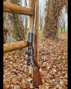 1000015406.jpg 1000015406.jpg