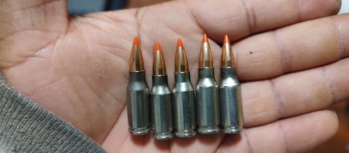 IMG_20241226_170705252.jpg IMG_20241226_170705252.jpg