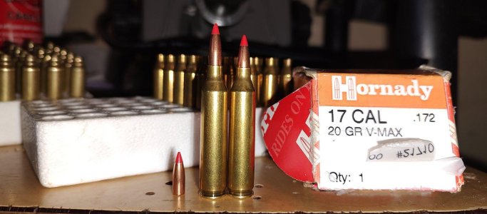 IMG_20240114_113357561 (1).jpg IMG_20240114_113357561 (1).jpg