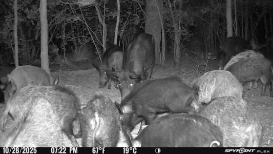 1000014024.jpg 1000014024.jpg