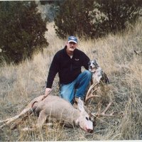 Last Mule Deer: Pearl.jpeg