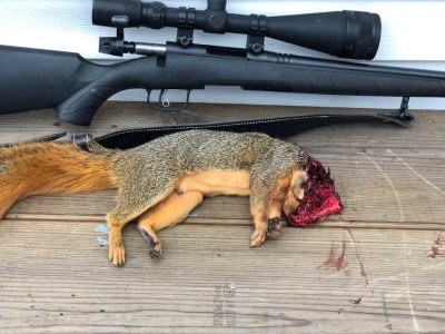 352654775_639865454681503_6234035719258893254_n BMAG and squirrel.jpg