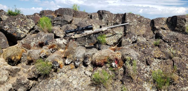 20200703_105051 - Copy.jpg