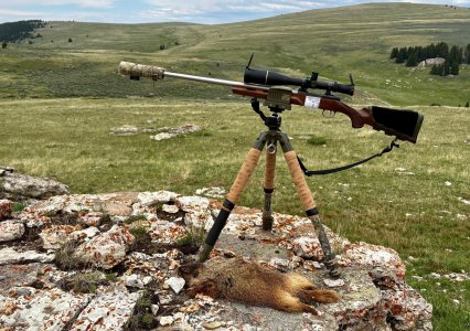 BOG Pod and Rock Chuck.jpeg