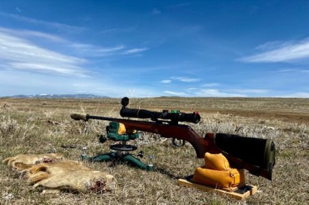 MT - RGS_4.11.25.jpg