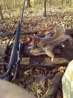 319177848_718981666144363_2224496017351349563_n (1) (1) BMAG and squirrels.jpg