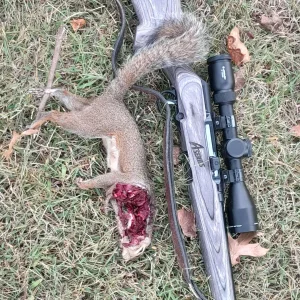 8effa5e2-fa03-4e31-8d9f-95a7242e4262 (2) (1).webp