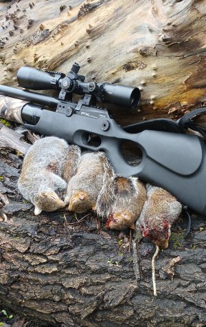 20260111_144925 (1).jpg