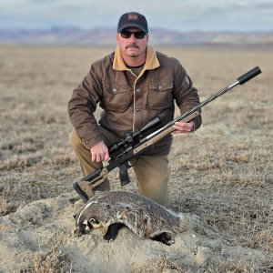 697-Yard-Badger-22-Grendel.jpg