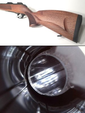 CZ 600 5.jpg CZ 600 5.jpg