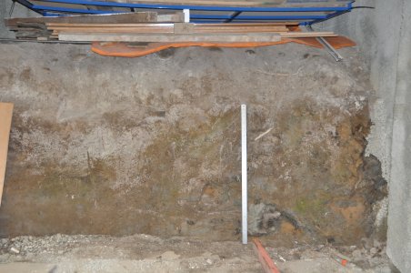 DSC_8398.JPG DSC_8398.JPG