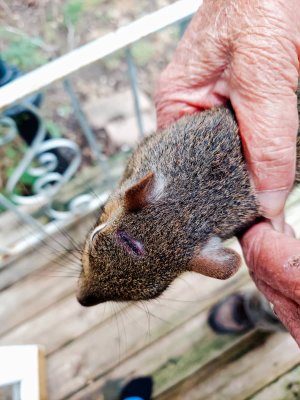 470669414_1306009250539062_1764614890592705466_n Graze.jpg