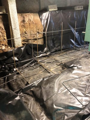 IMG_0803.JPG IMG_0803.JPG