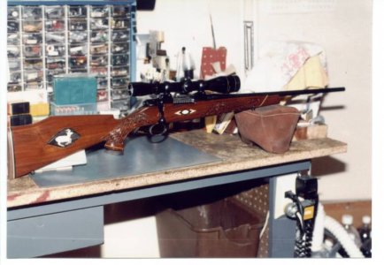 1771882788894.jpeg 1771882788894.jpeg