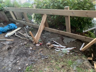 IMG_4388.jpg IMG_4388.jpg