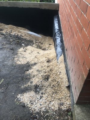 IMG_3286.JPG IMG_3286.JPG