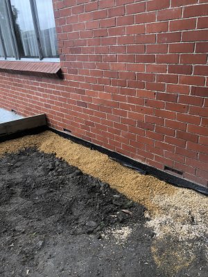 IMG_3288.JPG IMG_3288.JPG