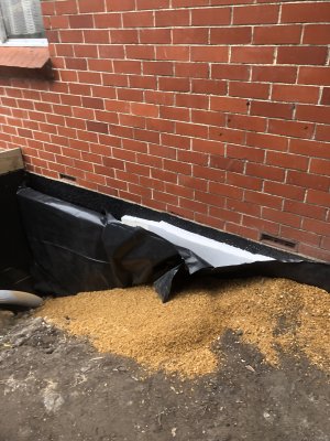 IMG_3274.JPG IMG_3274.JPG