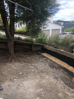 IMG_3277.JPG IMG_3277.JPG