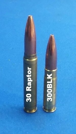 30 Raptor and Blackout.jpg 30 Raptor and Blackout.jpg