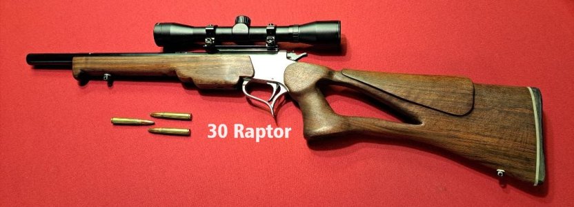 30 Raptor on red backgrnd.jpg 30 Raptor on red backgrnd.jpg