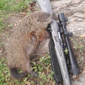 494816870_2195271554266607_3799699954553853137_n (1).jpg