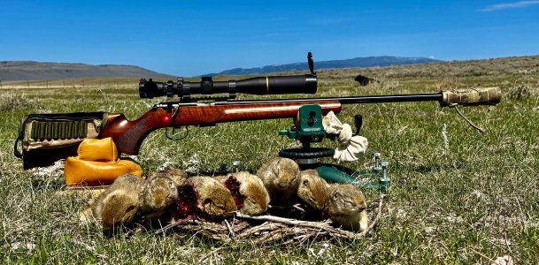 Anschutz 17HMR and RGS.jpeg